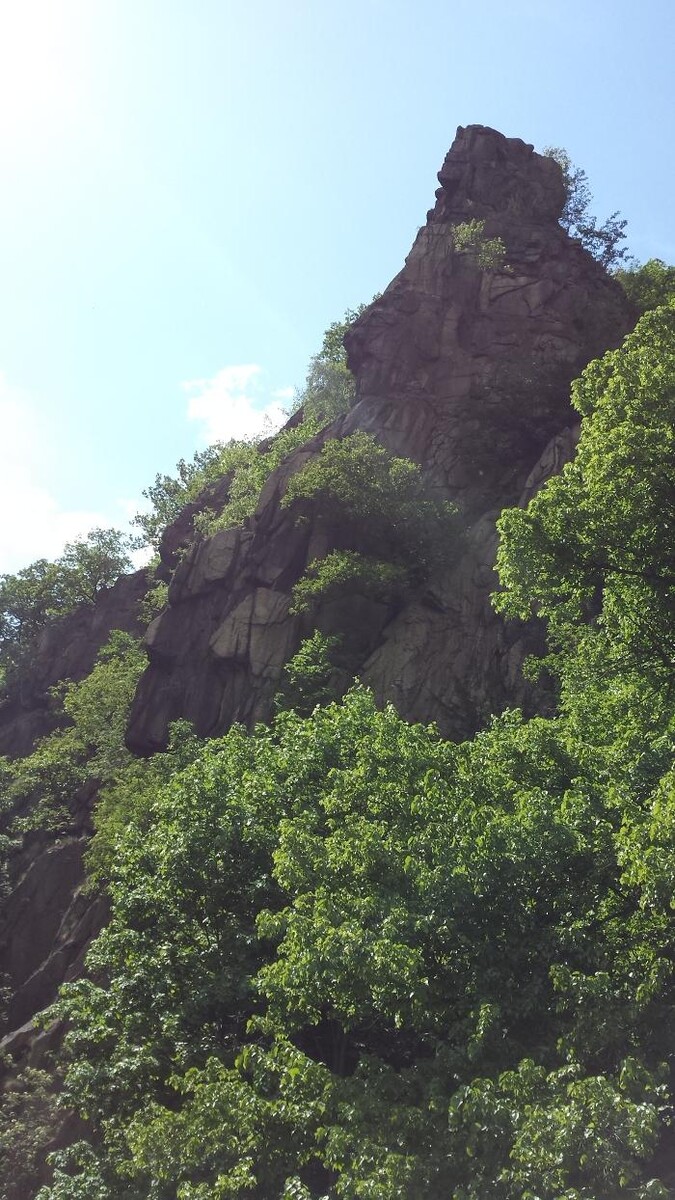 Bilder ALACARD Ferienwohnungen Höffgen Thale/Harz