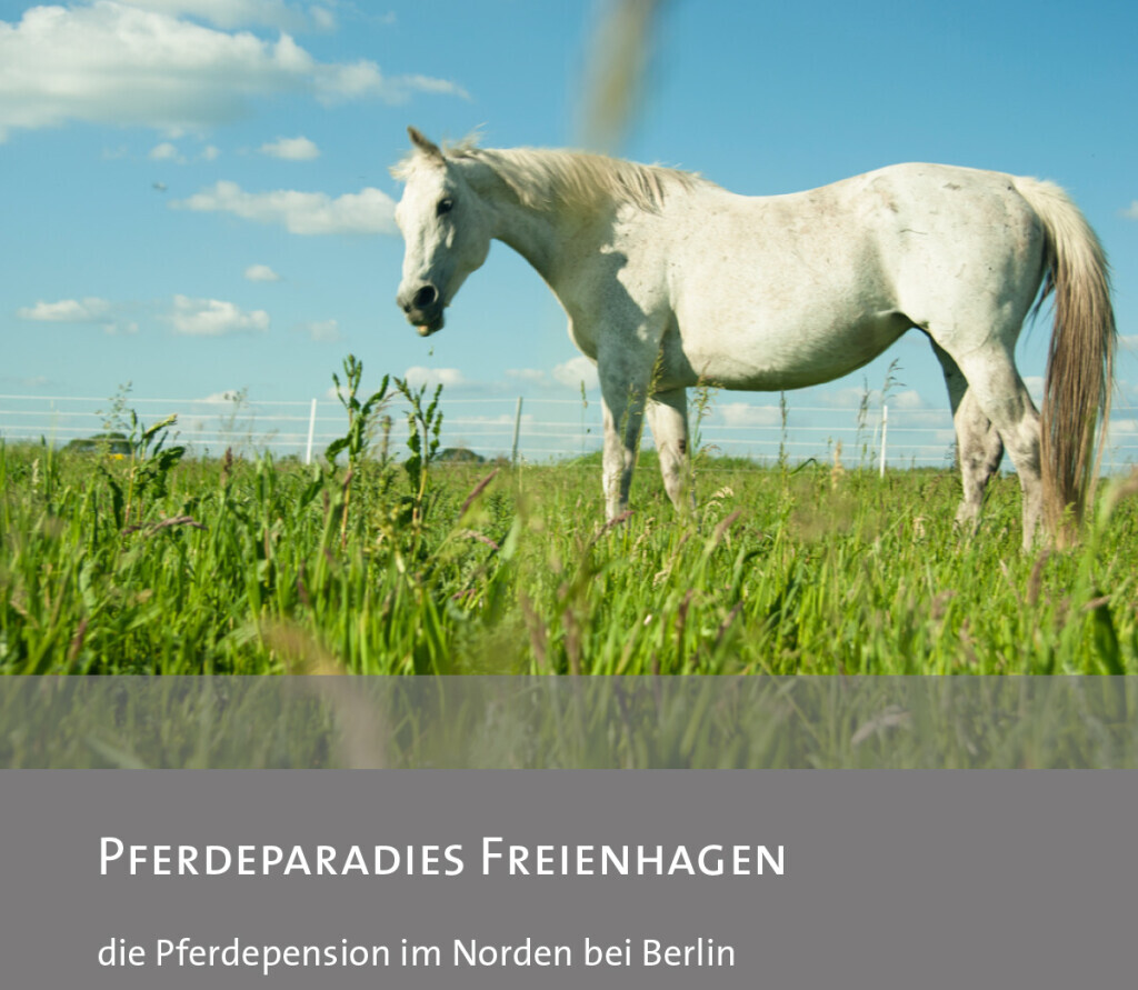 Bilder Pferdeparadies Freienhagen - Die Pferdepension