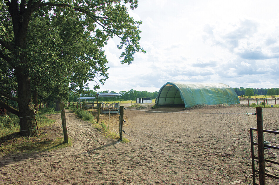 Bilder Pferdeparadies Freienhagen - Die Pferdepension