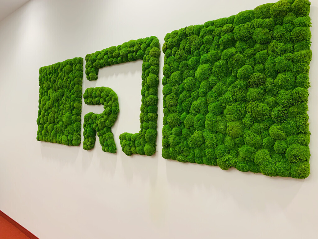 Bilder Baum & Raum Daniela Hinkelmann