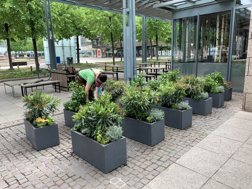 Bilder Baum & Raum Daniela Hinkelmann