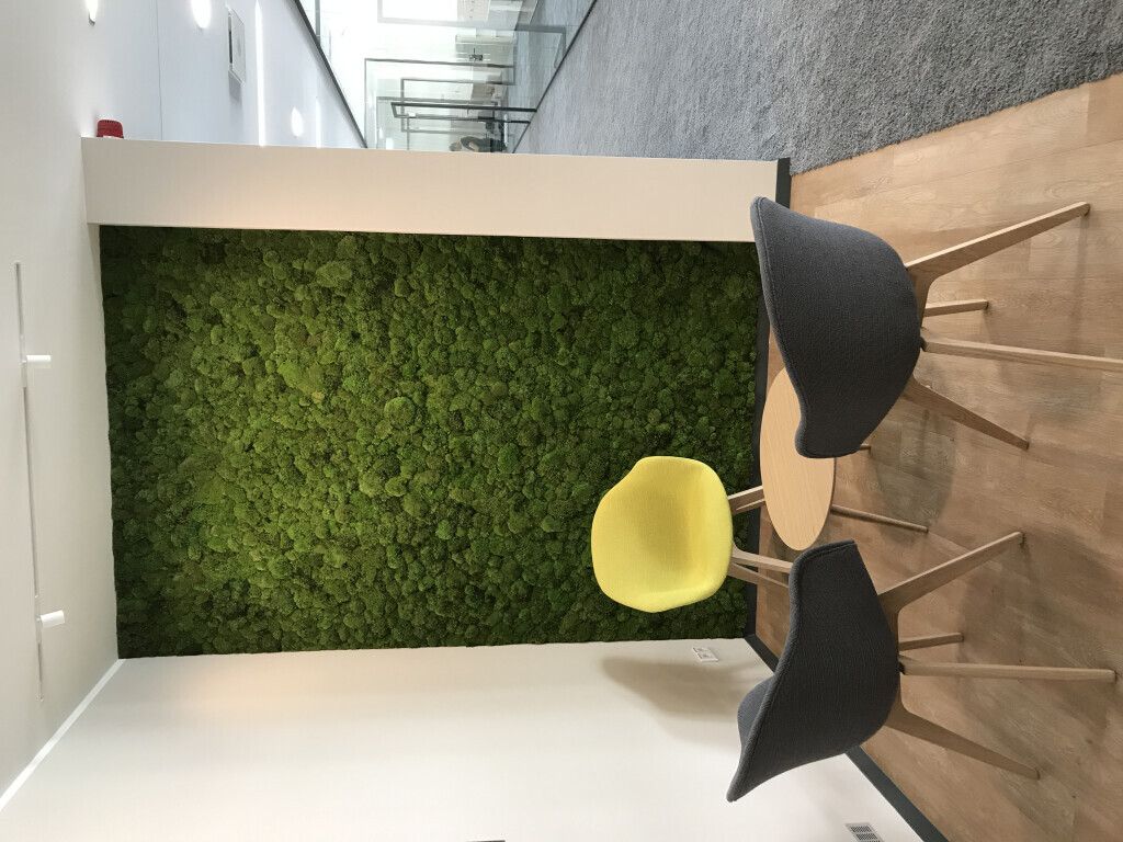 Bilder Baum & Raum Daniela Hinkelmann