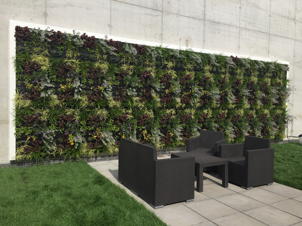 Bilder Baum & Raum Daniela Hinkelmann