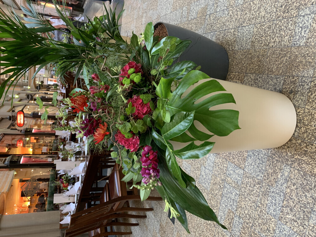 Bilder Baum & Raum Daniela Hinkelmann