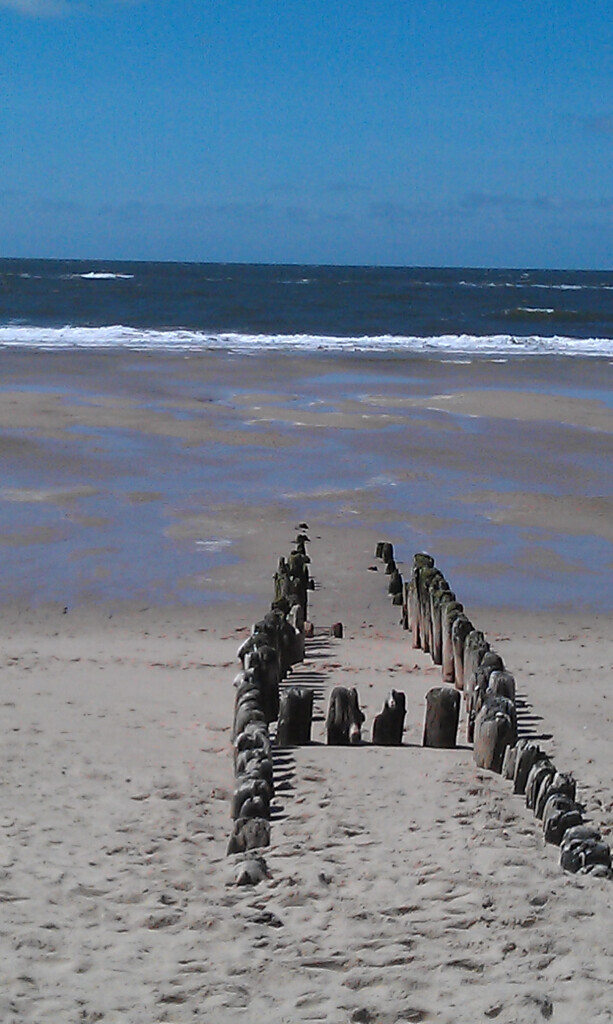 Bilder Aarun Bestattungen Hannover