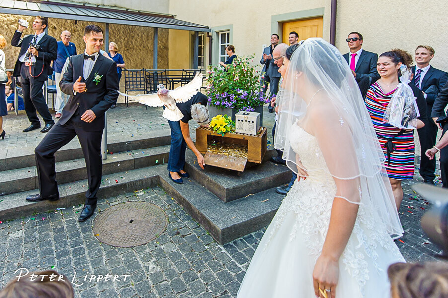 Bilder Hochzeitsfotograf Hegau, Peter Lippert