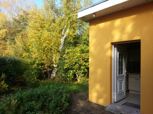 Bilder Simone Ibendorf Kräuterfrau