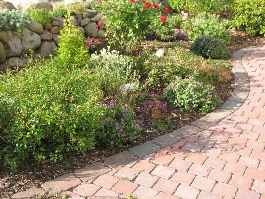 Bilder Simone Ibendorf Kräuterfrau