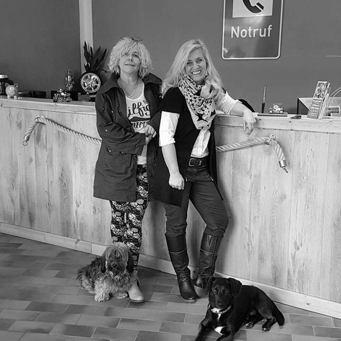 Bilder Fahrschule Intakt