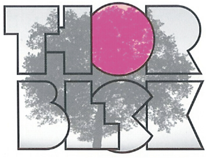 Schreinerei Michael Thorbeck Logo