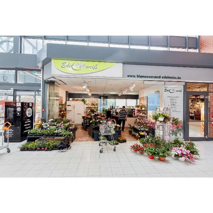 Bilder Kaufland Rudolstadt