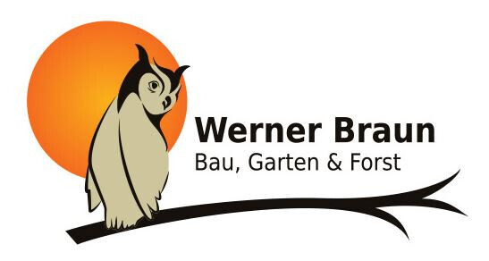 BGF Braun GmbH Logo