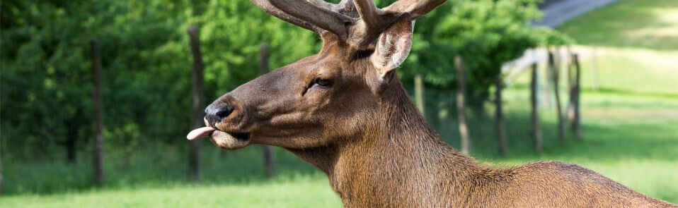 Bilder BGF Braun GmbH