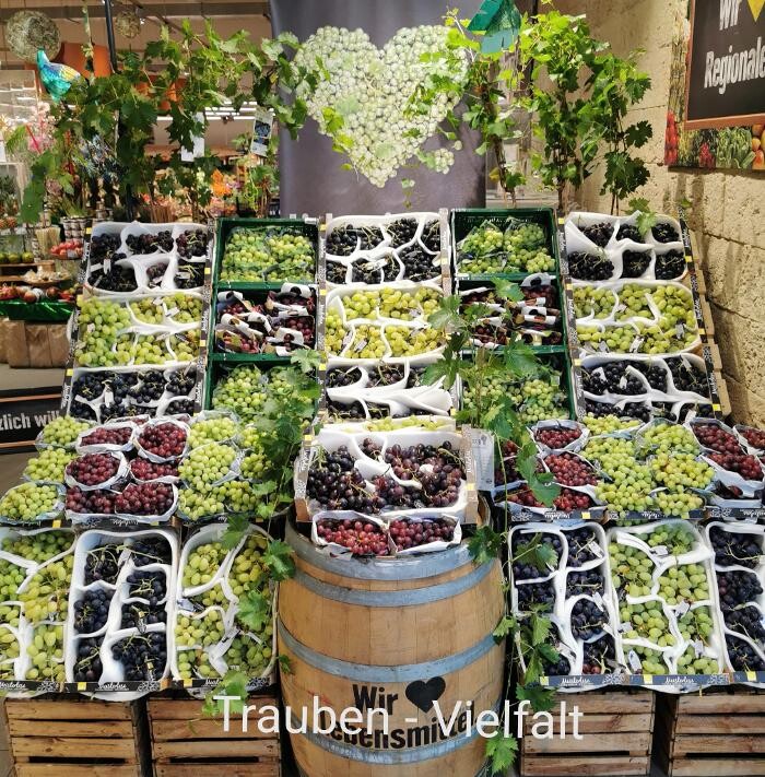 Bilder EDEKA Frischecenter Wagner KG