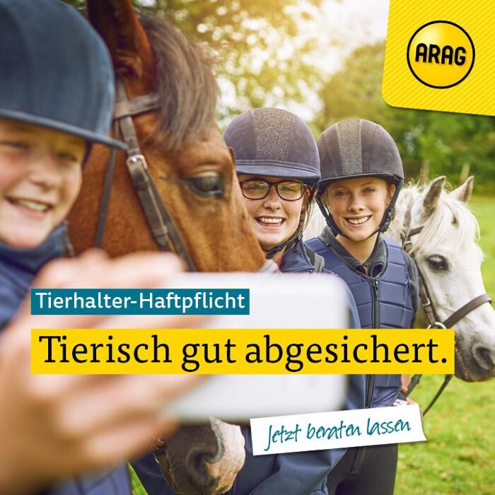 Bilder ARAG Versicherung Neumünster