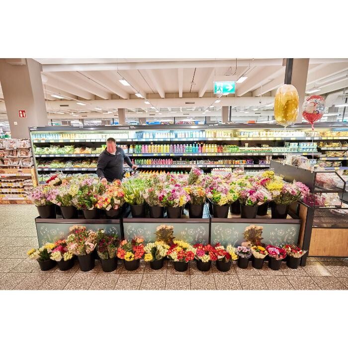 Bilder Kaufland Altenburg, Kauernd. Allee