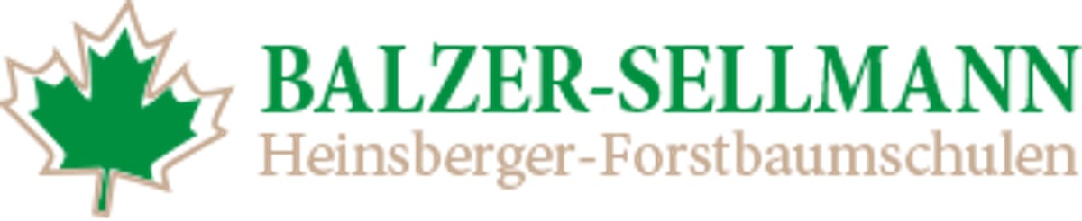 M. Balzer-Sellmann KG Logo
