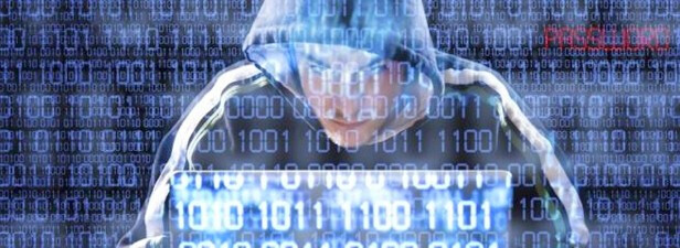 Bilder Detektei Martin