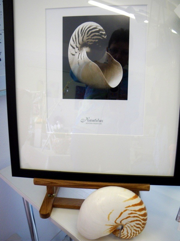 Bilder Art & More Inh. Barbara Hunfeld      