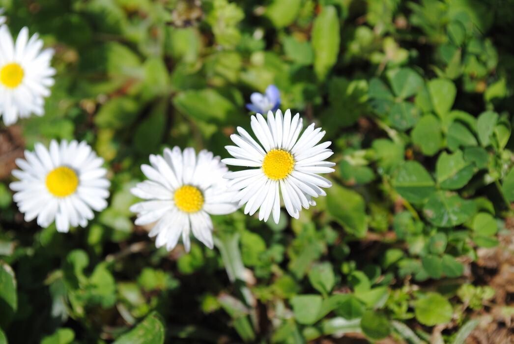 Bilder Naturheilpraxis Schwörer