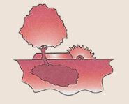 Tischlerei Rosenbaum Logo