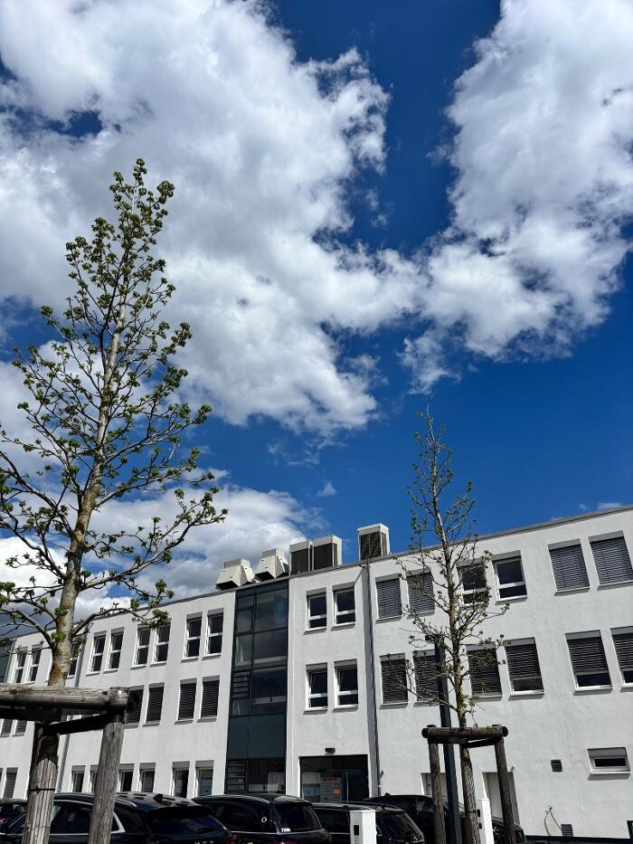 Bilder BASSERMANN minerals GmbH & Co. KG