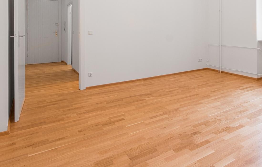 Bilder Klaus Stemmer GmbH