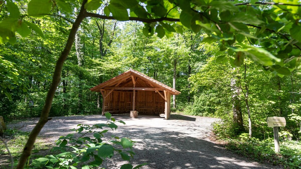 Bilder FriedWald Burg Plesse