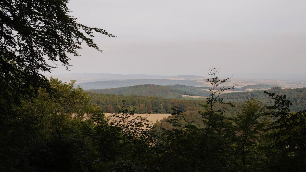 Bilder FriedWald Burg Plesse