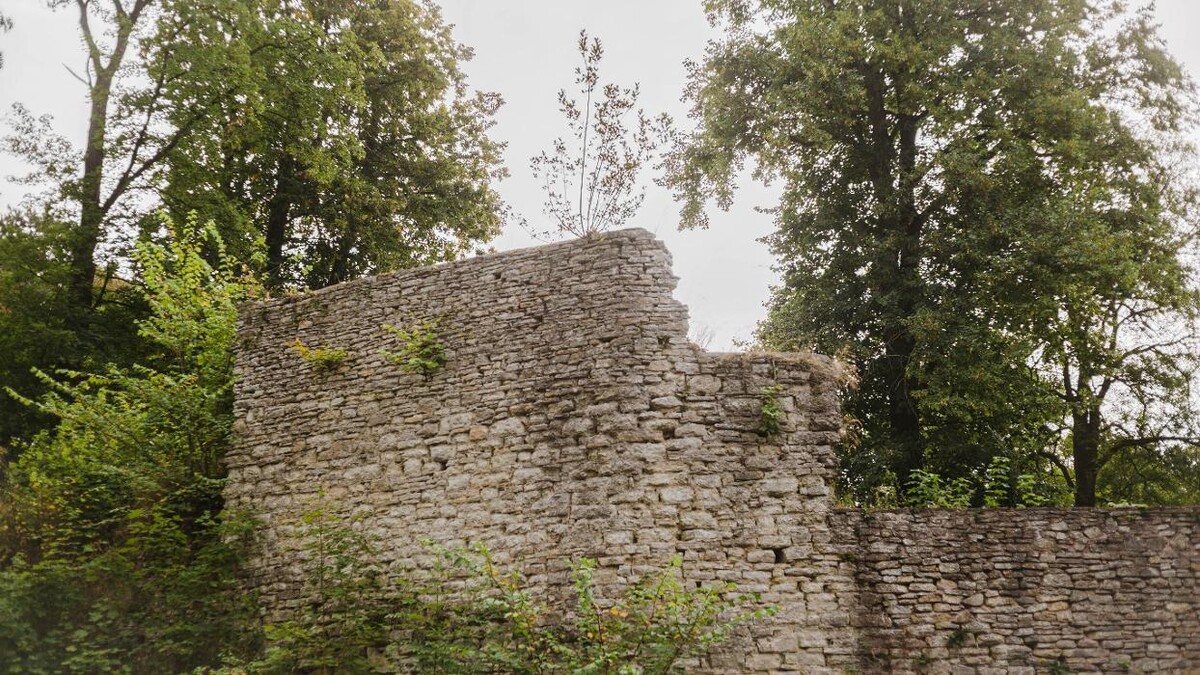 Bilder FriedWald Burg Plesse