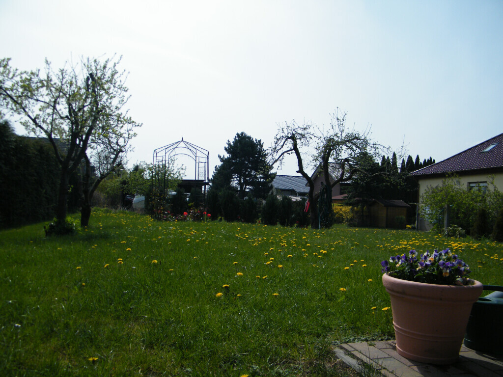 Bilder HAFF - Immobilien