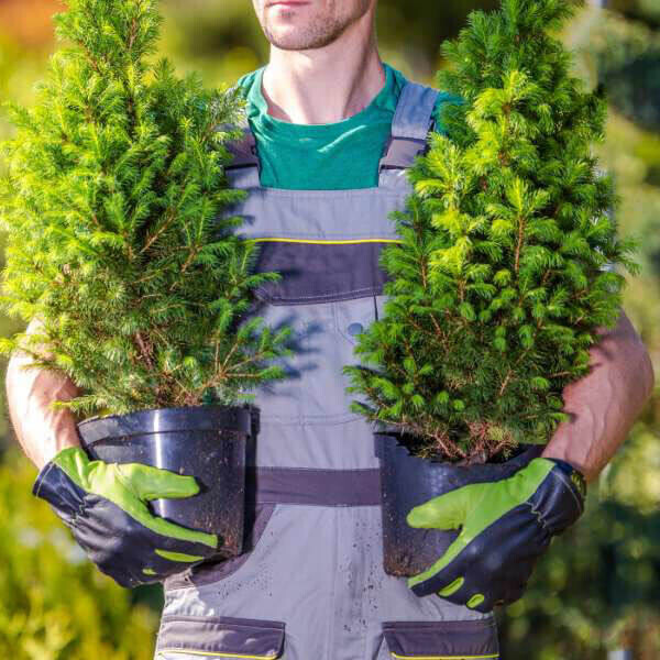 Bilder Fadil Gören Garten- und Landschaftsbau