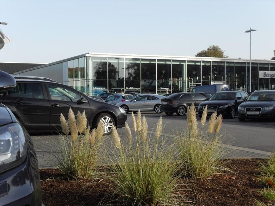Bilder Mercedes-Benz, smart Verkauf & Service | Senger