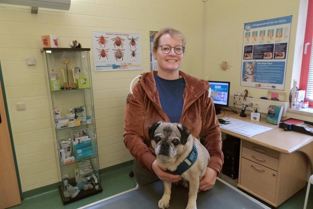 Bilder Kleintierpraxis im Stadtfeld Tierärztin A. Dietz