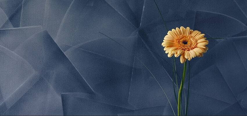 Bilder Malerbetrieb - Koberzin e.K