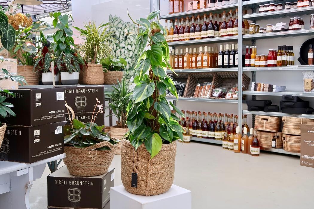 Bilder KUNST- UND LUSTGÄRTNEREI Im Schlosspark