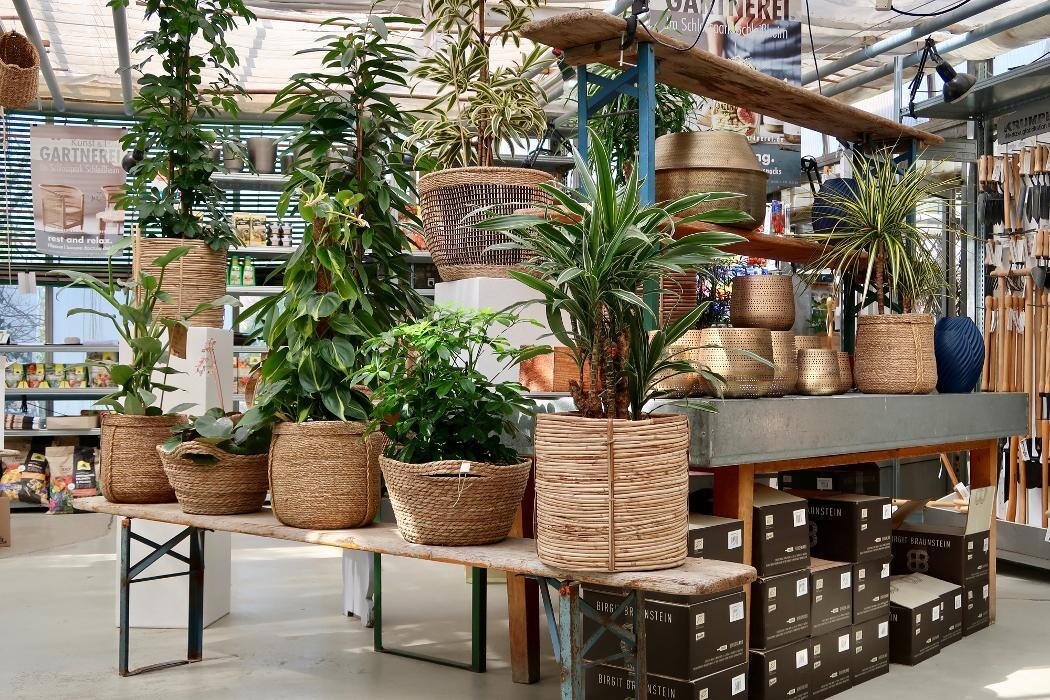 Bilder KUNST- UND LUSTGÄRTNEREI Im Schlosspark