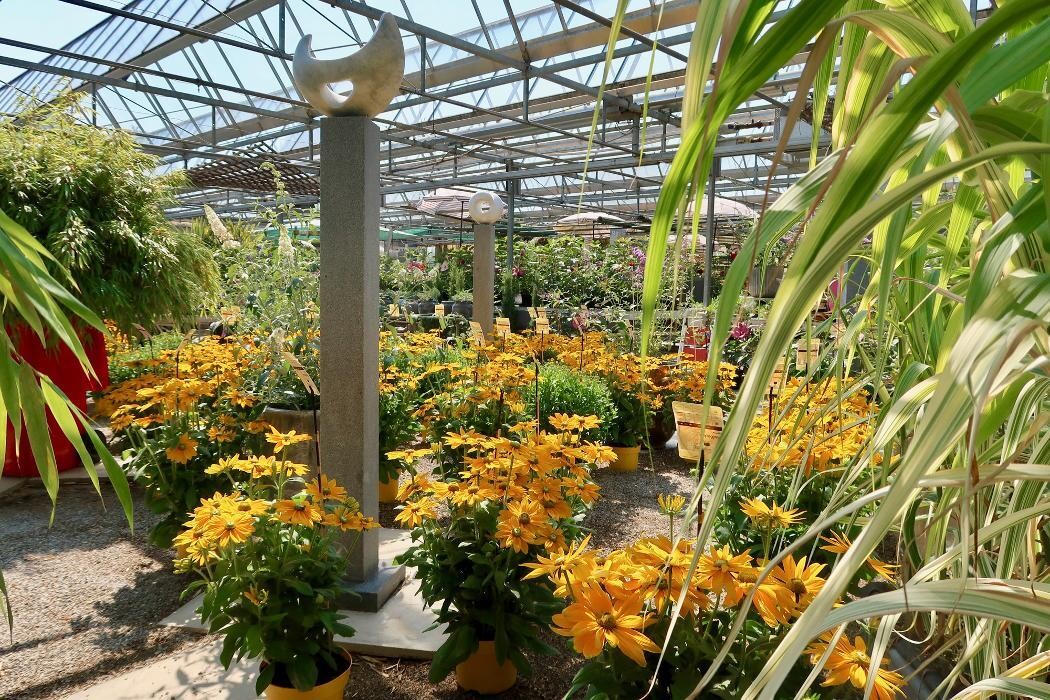 Bilder KUNST- UND LUSTGÄRTNEREI Im Schlosspark