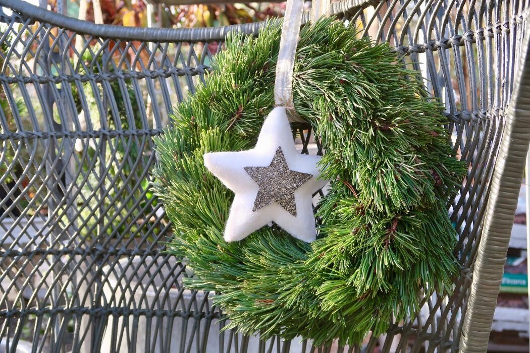 Bilder KUNST- UND LUSTGÄRTNEREI Im Schlosspark