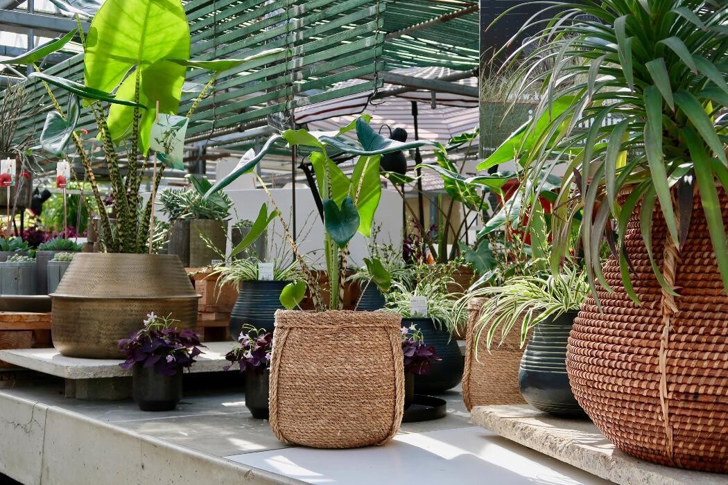 Bilder KUNST- UND LUSTGÄRTNEREI Im Schlosspark