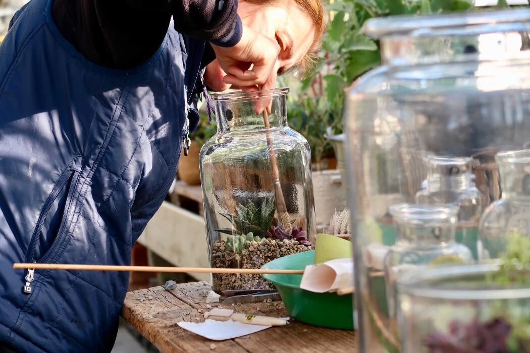 Bilder KUNST- UND LUSTGÄRTNEREI Im Schlosspark