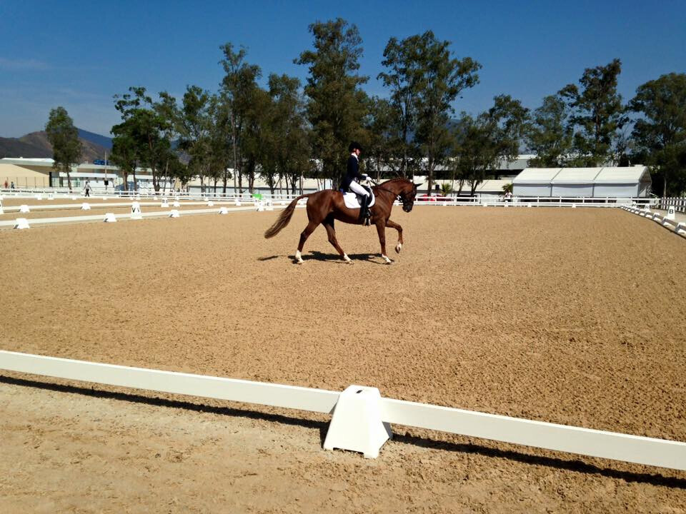 Bilder Pferdeklinik am Kottenforst GmbH