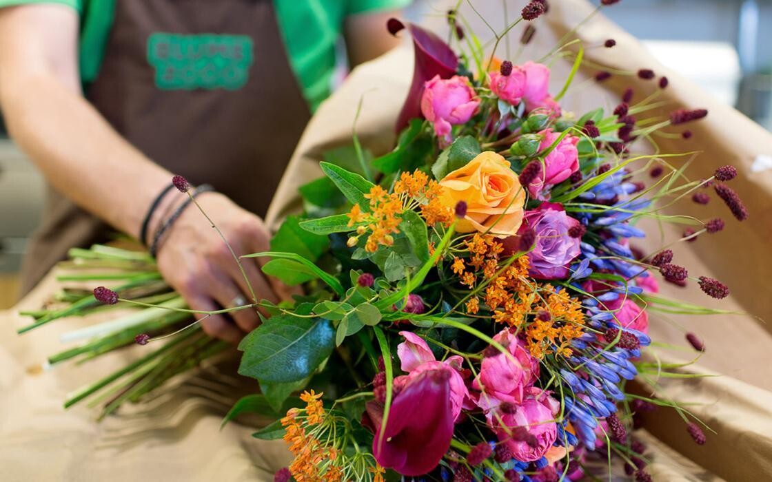 Bilder BLUME2000 Hamburg Hauptbahnhof