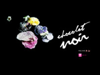 Screenshot for http://chocolat-noir.de
