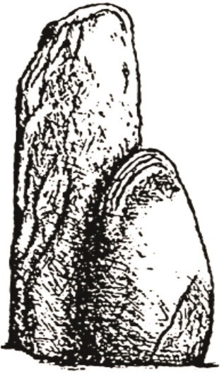 Bilder Heinz Samulewitz & Söhne GmbH