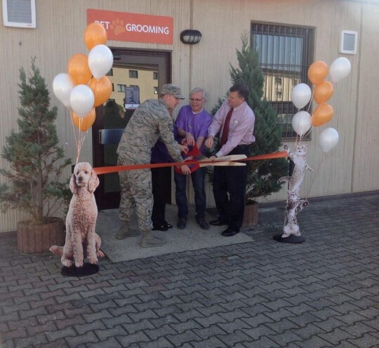 Bilder Benny's Doggy Depot Florian Jäger Hundesalon und Groomer Schule