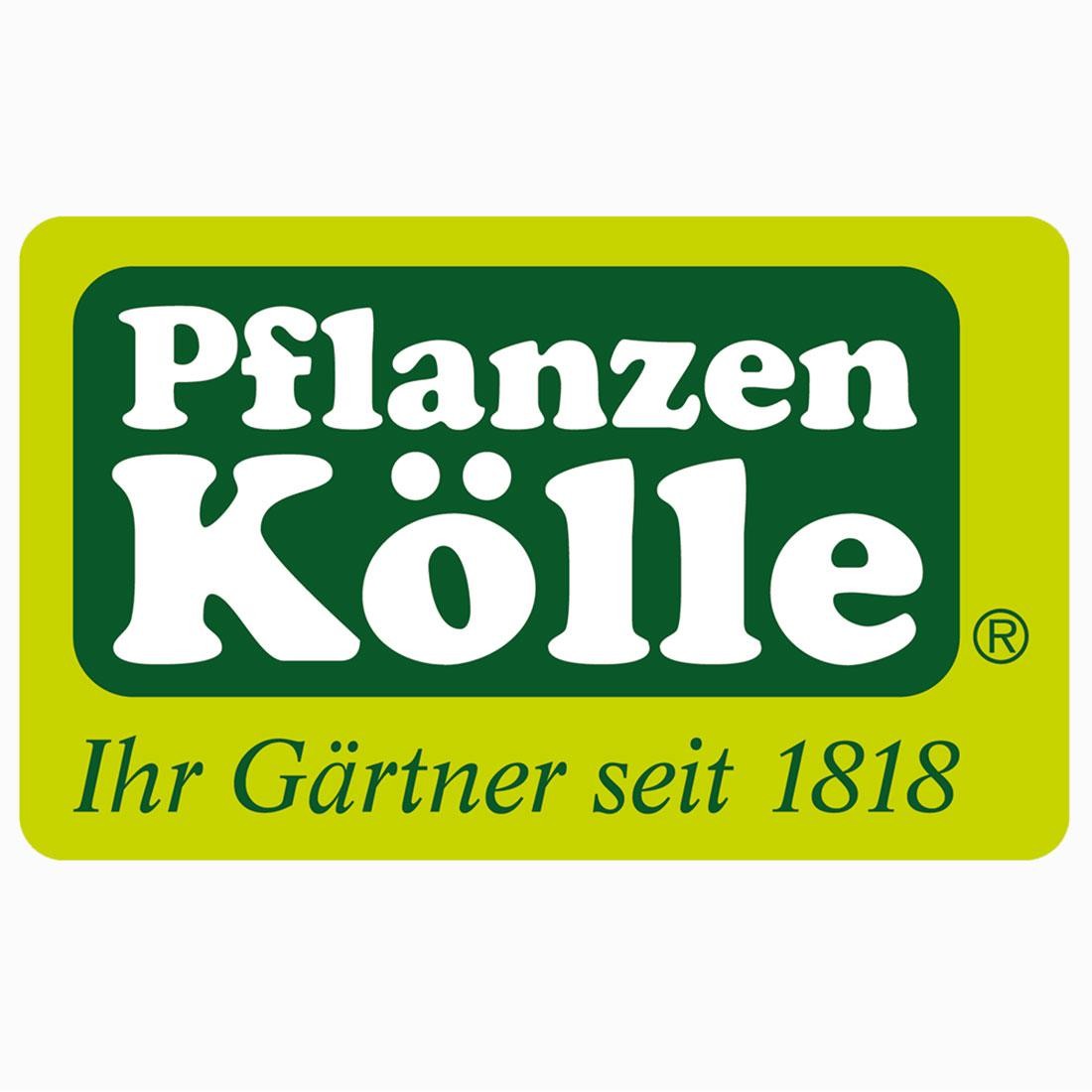 Bilder Pflanzen-Kölle Gartencenter GmbH & Co. KG Hamburg