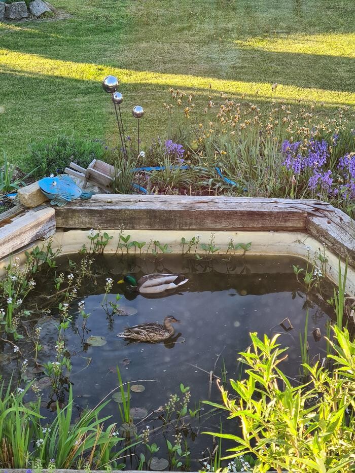 Bilder Ferienhäuser - Pension und Events Zur Unterklippe