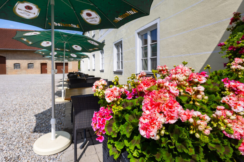 Bilder Landgasthof zum grünen Kranz