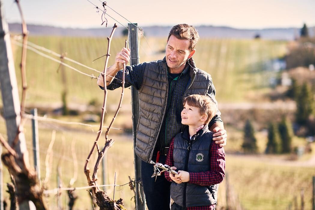 Bilder Genossenschaftskellerei Heilbronn eG